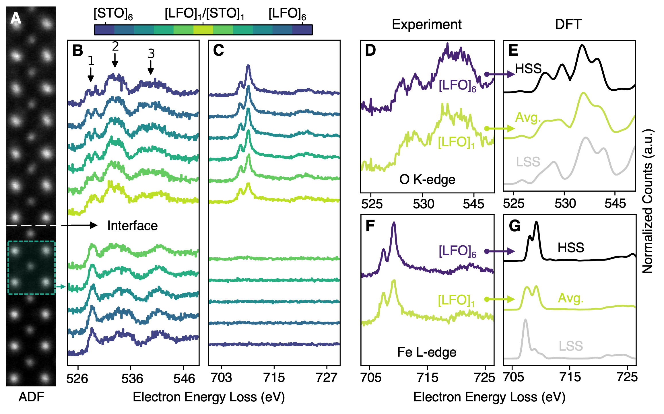 Emergent Interfacial Magnetic States