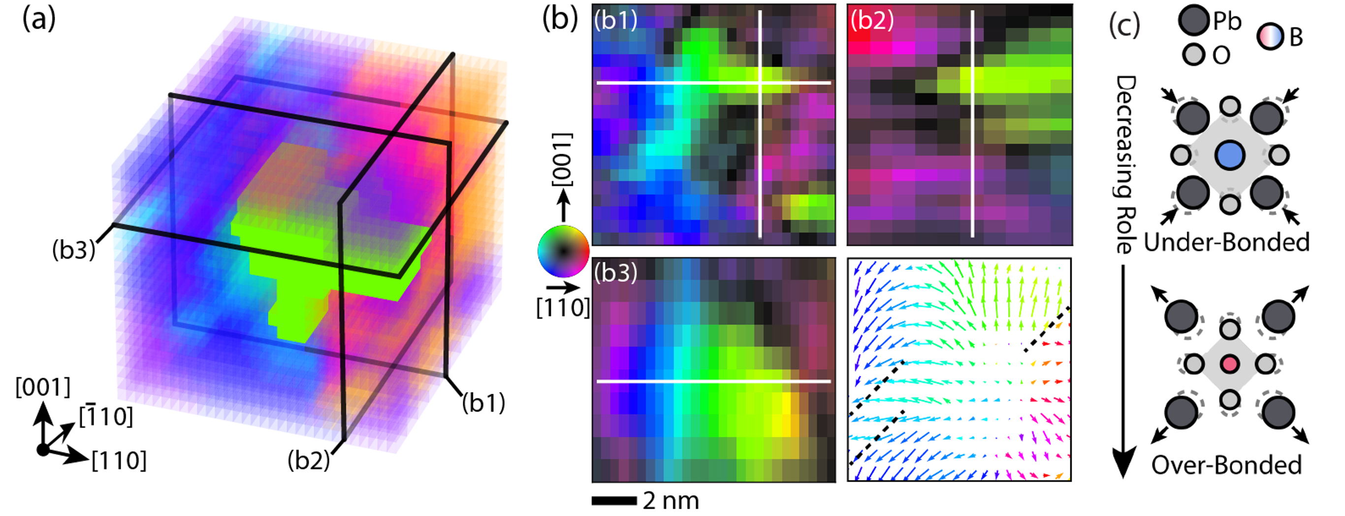Polar Slush of Relaxor Ferroelectrics in 3D