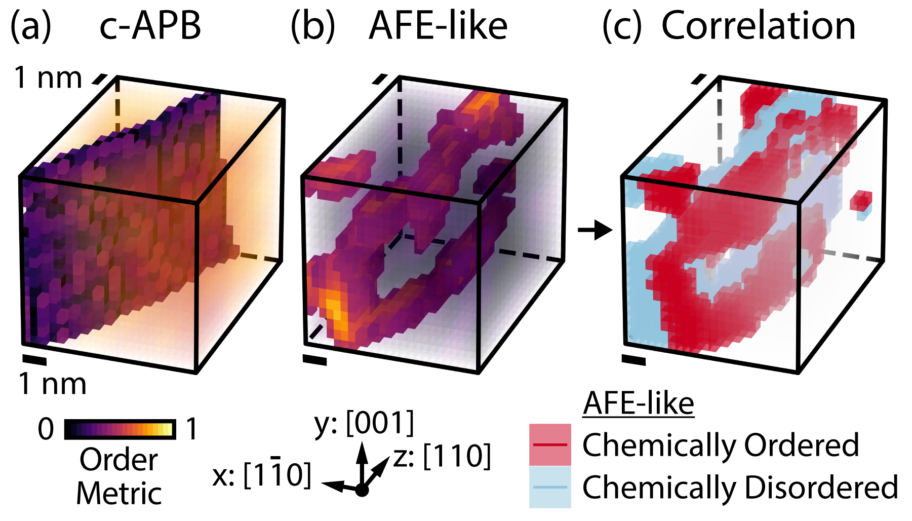 3D View of APBs and Spatially Corrleated AFE Nanodomains