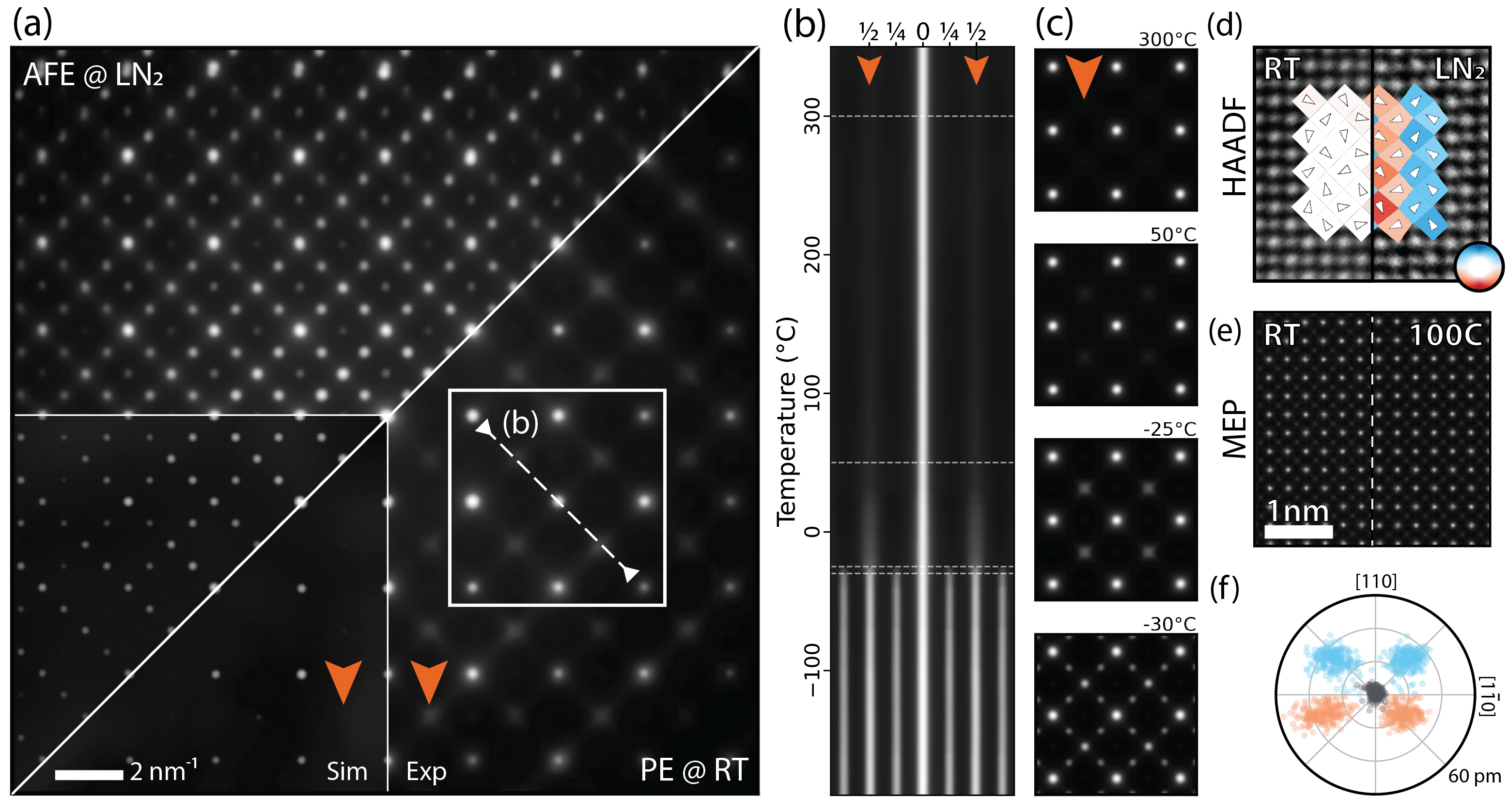 Dynamic Antiferroelectric Transformations