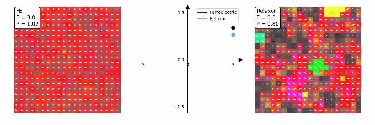 FE versus relaxor simulation